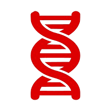 Fully Methylated Forms
